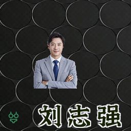 刘志强